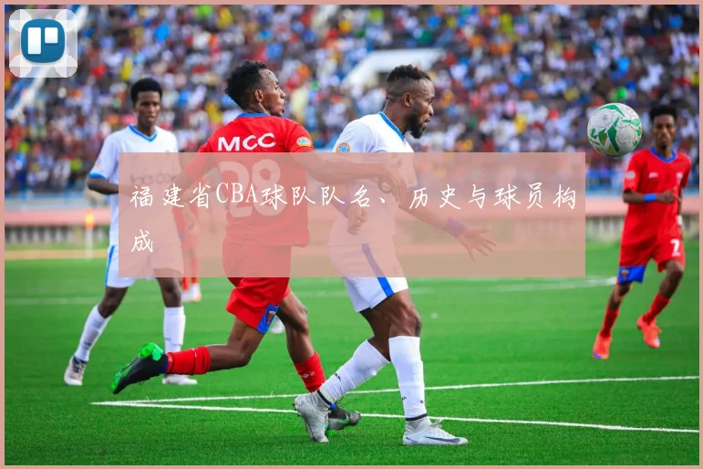 福建省CBA球队队名、历史与球员构成
