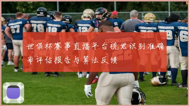 世俱杯赛事直播平台视觉识别准确率评估报告与算法反馈