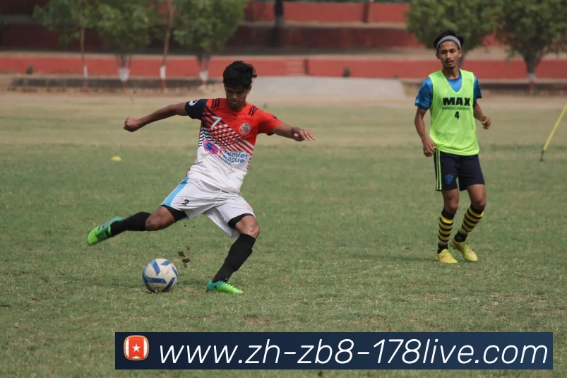 178体育直播平台生态图